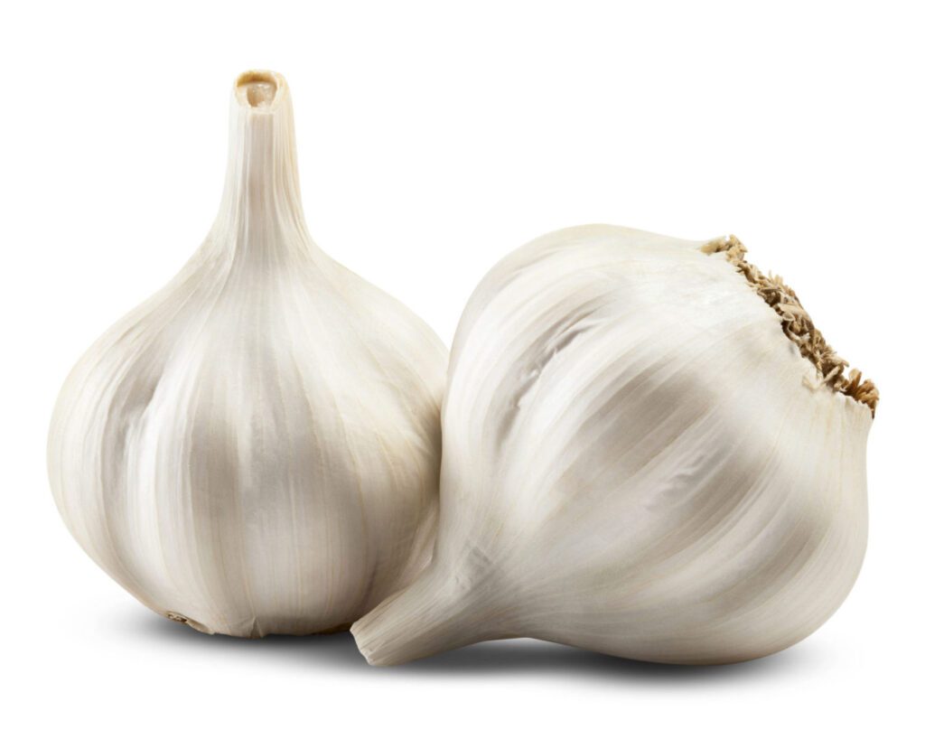 garlic: an herb for immune system support