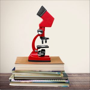 Red Microscope for Why KI? - Part 1 ki