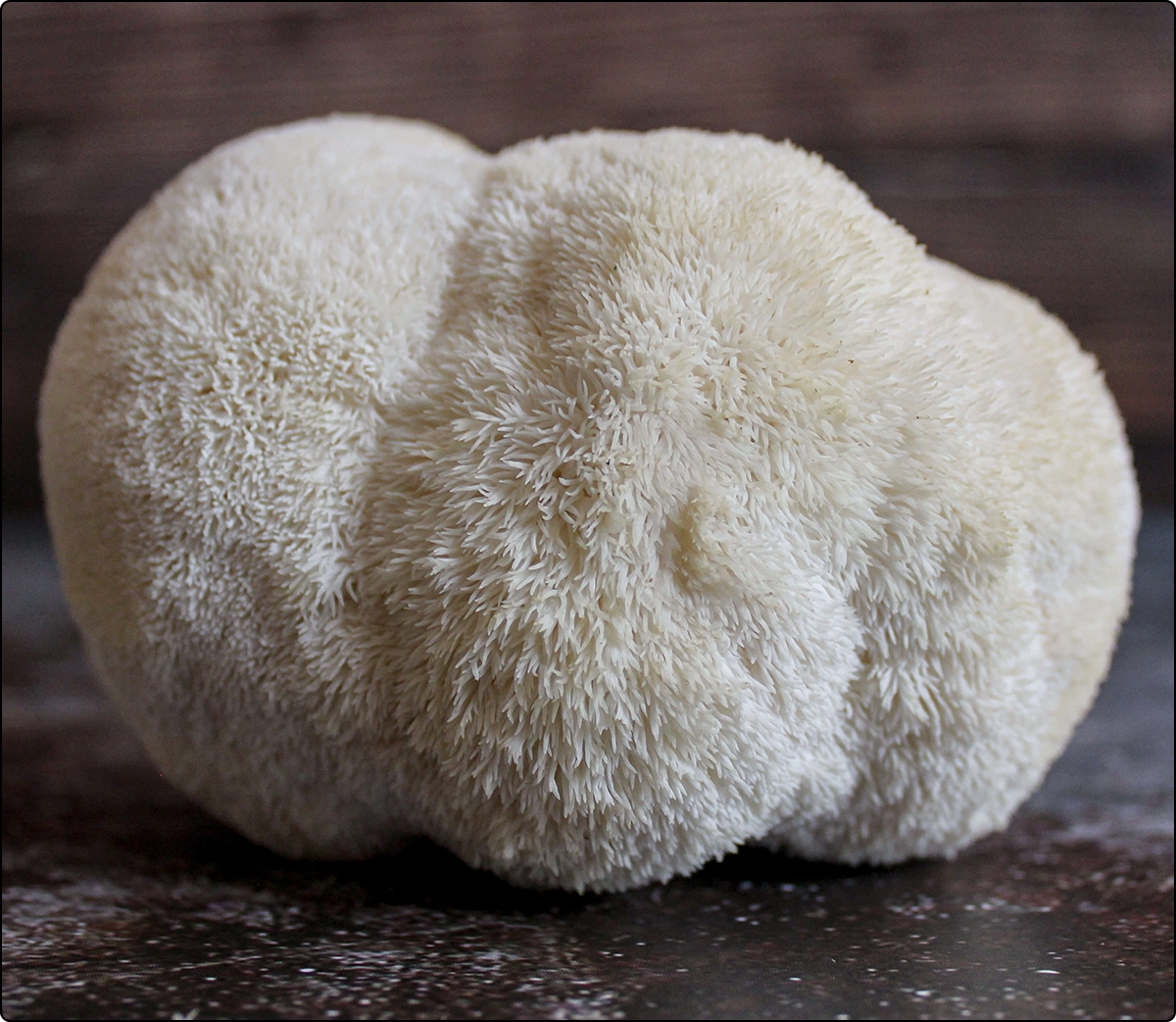 lions mane mushroom as part of 'other supplements'